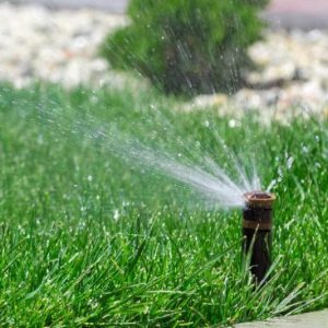 irrigation system watering lawn